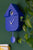 Horloge murale design nichoir, bleu cobalt, avec balancier et forme de boîtier distinctive