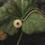 Collier en or avec pendentif rond et pierre verte