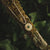 Collier en or avec pendentif rond et pierre verte, vue détaillée