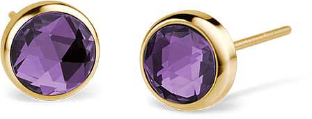 Boucles d'oreilles en acier inoxydable avec pierre ronde violette facettée dans un anneau doré