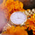 Citizen Damenuhr Zifferblatt mit Eco-Drive-Markierung und roségoldfarbener Lünette.