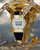 Casio G-Shock Uhr mit gelbgoldfarbener Metalloptik und schwarzem Band, von Goldspiralen umgeben