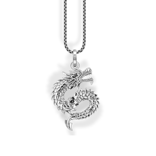 Collier en argent avec pendentif dragon patiné, vue détaillée