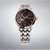 Montre homme avec cadran marron foncé, détail d'aiguilles dorées et bracelet bicolore
