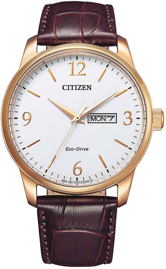 Montre homme : bracelet en cuir bordeaux, boîtier doré, cadran blanc