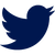Damenarmbanduhr, Twitter-Vogel-Logo