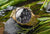 Montre pour femme avec cadran noir, sous-cadrans chronographes et bracelet en acier inoxydable doré