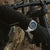 Montre Festina Chrono Bike pour homme au poignet avec cadran bleu et bracelet en acier inoxydable