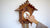Rombach & Haas TRADITION 3407 Horloge Murale Or/Bois • Mouvement Mécanique 8 Jours • Authentique Coucou de la Forêt-Noire