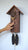 Rombach & Haas CLASSIC SLM3H-10 Horloge Murale Bois Naturel • Mouvement Mécanique 8 Jours • Véritable Coucou de la Forêt-Noire