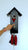 Rombach & Haas Classic SL35 H-2/3 Horloge Murale Noir/Rouge/Or • Mouvement Mécanique 8 Jours • Véritable Coucou de la Forêt-Noire
