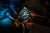 Montre homme avec cadran bleu, aiguilles orange et lunette noire