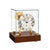 Horloge de table dans un boîtier en verre avec cadran blanc et socle en noyer