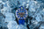 Montre Vostok Europe Engine VK67-650A720 pour homme • Éclairage Tritium • 30 ATM