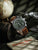 Zeppelin Herrenuhr am braunen Lederarmband, seitliche Ansicht mit grünen Hilfszifferblättern