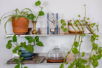 Horloge de table en aluminium mouvement squelette - Hermle Modèle: 23025-Q70721