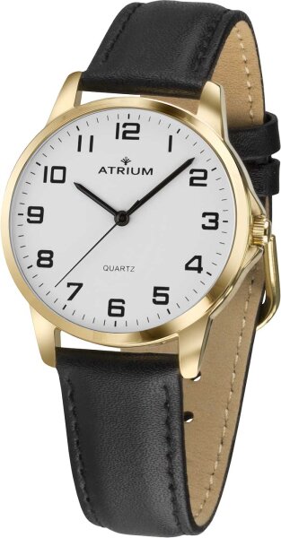 Montre homme - Atrium modèle: A36-20