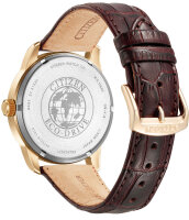 Montre homme avec Eco Drive Série: Sports - Citizen modèle: BM8553-16AE