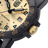 Montre homme SEA Turtle Giant - Luminox modèle: XS.0325.GP