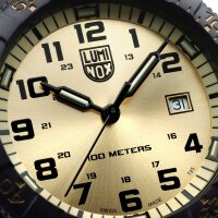 Montre homme SEA Turtle Giant - Luminox modèle: XS.0325.GP