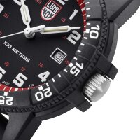 Montre homme SEA Turtle Giant - Luminox modèle: XS.0335