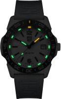 Montre homme - Luminox modèle: XS.3124M