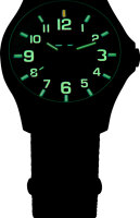 Montre homme - Série: Officer Pro - Traser modèle: 107426