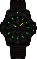 Montre homme - Luminox modèle: XS.3875
