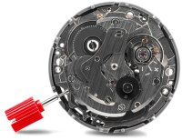 Montre homme - Série: Energia Rocket - Vostok Europe modèle: NH34-575A716