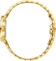 Montre femme - Danish Design modèle: 3320383