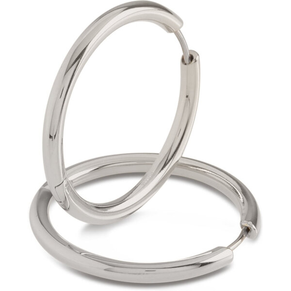 05073-01 Titanium oorringen 31 mm