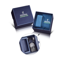 Herrenuhr mit grauem Zifferblatt - Festina Modell: F23305/7